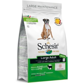 Schesir Nature Ração Cão Large Adulto Cordeiro 12kg 